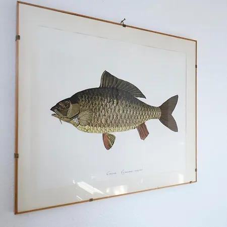 Apartman Cozy On The - The House Of Travelers Brienno