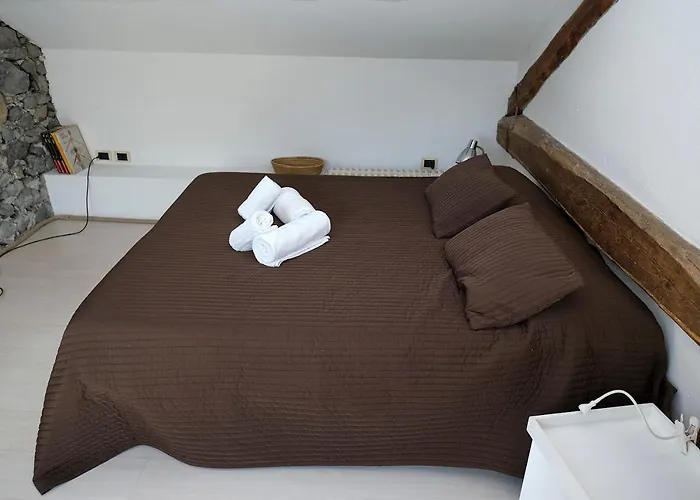Cozy On The - The House Of Travelers